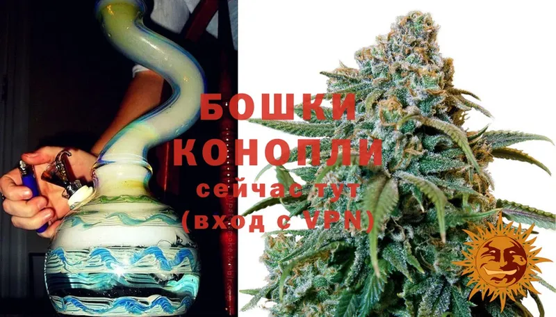 закладка  ссылка на мегу как войти  Бошки Шишки SATIVA & INDICA  Новошахтинск 